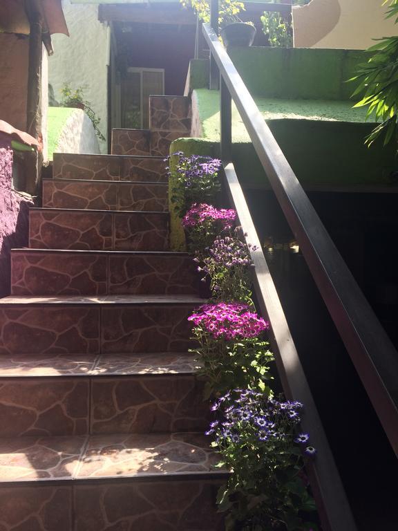 Mi Aldea Holistica Hotel Cidade do México Exterior foto